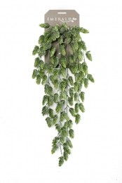 Hophangingbushx670cm-Emerald