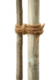 Kokostouw15mNature-Nature