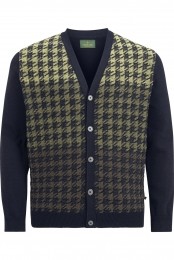 CharlesColbyVestgroenMotief