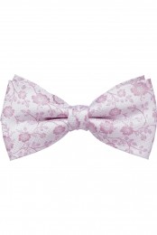 OLYMPVlinderdasmauveBloemen