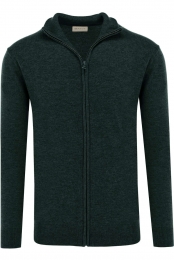 GANTCardigangroenEffen