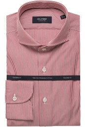 OLYMPSIGNATUREOverhemdroodwitGestreept