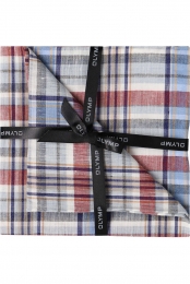 OLYMPPochetveelkleurigRuit