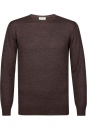 ProfuomoTruiroodEffen