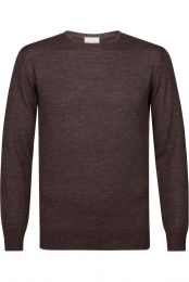 ProfuomoTruiroodEffen