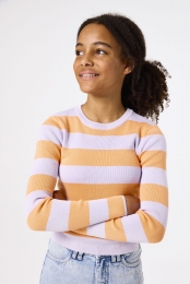 Gestreeptepullover