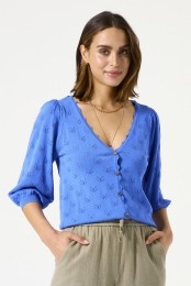 Blauwvest