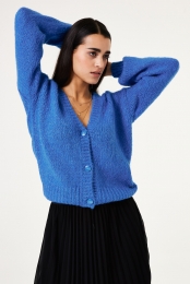 Blauwvest