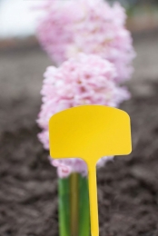 PlaatetikettenkunststofH125cmseta10stuksNature-Nature