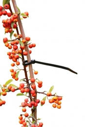 Kabelbindersnylon20cmseta25stuksNature-Nature