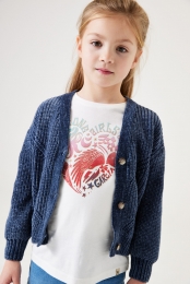 Blauwvest