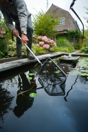 Schepnetpowernetalgkleinfijnmazigmettelescoopsteel-Ubbink