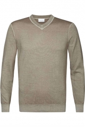 ProfuomoTruiV-halstaupeEffen