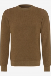 BraxGebreidetruirondehalskameelEffen