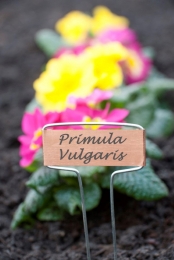 Plaatetikettenkoper16cmseta6stuksNature-Nature