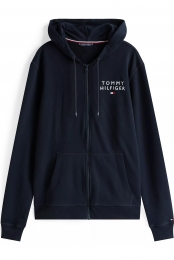 TommyHilfigerHoodedsweatshirtblauwEffen