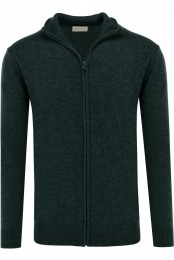 GANTCardigangroenEffen