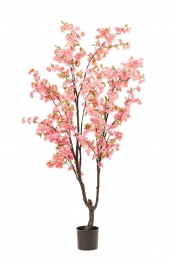 Cherryblossomtreepink210cm-Emerald