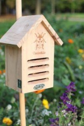 EsschertDesign-Lieveheersbeestkastjesilhouet