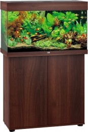 JuwelmeubelbouwpakketSBXRio125donkerbruin-Gebrdeboon