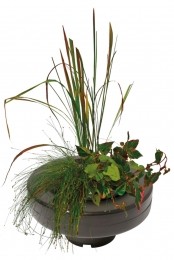 FloatingPlantBasketdiameter22Cmvijver-Superfish
