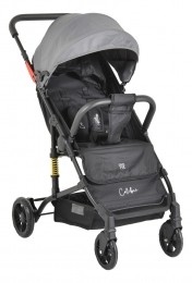 MoniColibriGreyWandelwagen110848