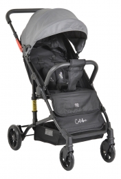 MoniColibriGreyWandelwagen110848