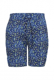 BlauweBrazilbermudaAFishNamedFred