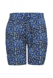 BlauweBrazilbermudaAFishNamedFred