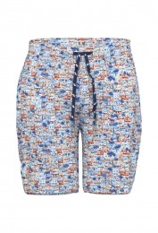 BlauwehuisjesbermudaAFishNamedFred
