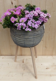 Rietenplantenbakgrijsoppotenmetzomerbloeiersrozeh55cm-Warentuinnatuurlijk