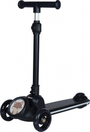 EcoToysStenZwartStepmetLichtenGeluid