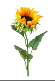 Helianthusannuusilonasgeelkunstbloemzijdenepbloem-Decostar