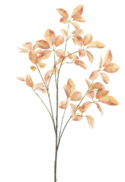 KunsttakStarleafbrancheMirjabrown123cm-Buitengewoondeboet