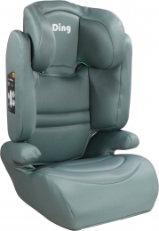 DingRileyStonegreen100-150cmi-SizeAutostoelDI-903291