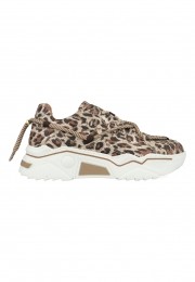 DWRSJupiterLeopardGlimmerJ5554C-91-8411Beige-40maat40