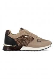 MexxSneakersMXK035803W-2005Bruin-36maat36
