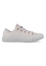 ConverseAllStarsSuede161206CGrijsmaat