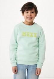 TruiPastelGroen