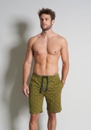 GroenepalmbomenbermudaTomTailor