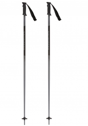 RossignolTacticzie1452050006SkiStokken120