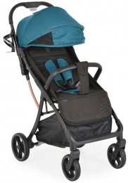 MoniCardiGreenWandelwagen110969