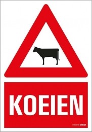 Combi-Bord23x33cmBordSambucusPickup-Pickup