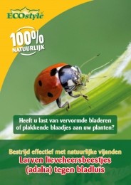 Larvenlieveheersbeestjetegenbladluis100stuks-Ecostylenatuurlijkevijanden