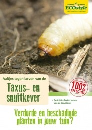 Aaltjestegentaxussnuitkever10m2-Ecostylenatuurlijkevijanden