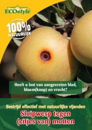 SluipwesptegeneitjesvanmottenECOstyle-Ecostylenatuurlijkevijanden