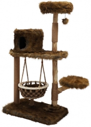 Klimboompopulus154cmgrizzlybrownGebrdeBoon-Gebrdeboon