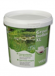 SupergroeibollenXLVelda-Velda