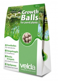 Groeibollen-Velda