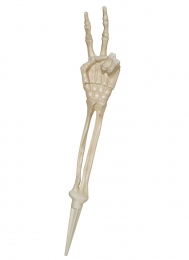 Skeletarmpeace